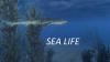 Sea Life SH4
